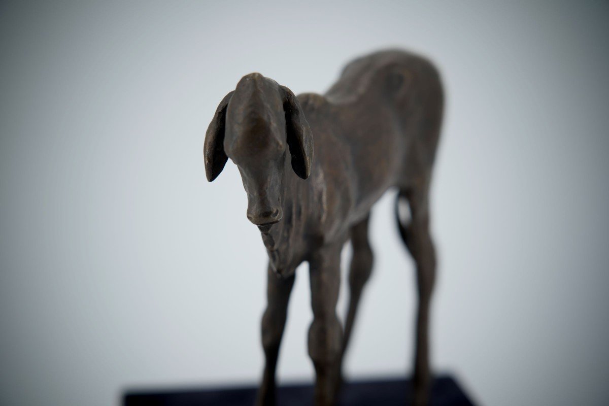 Renée Sintenis (1888 – 1965) Bronze “standing Zebu Calf”-photo-4