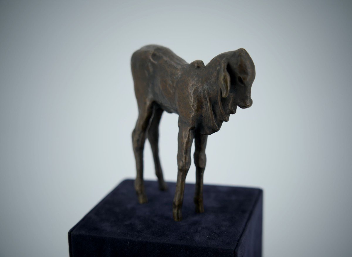 Renée Sintenis (1888 – 1965) Bronze “standing Zebu Calf”-photo-1