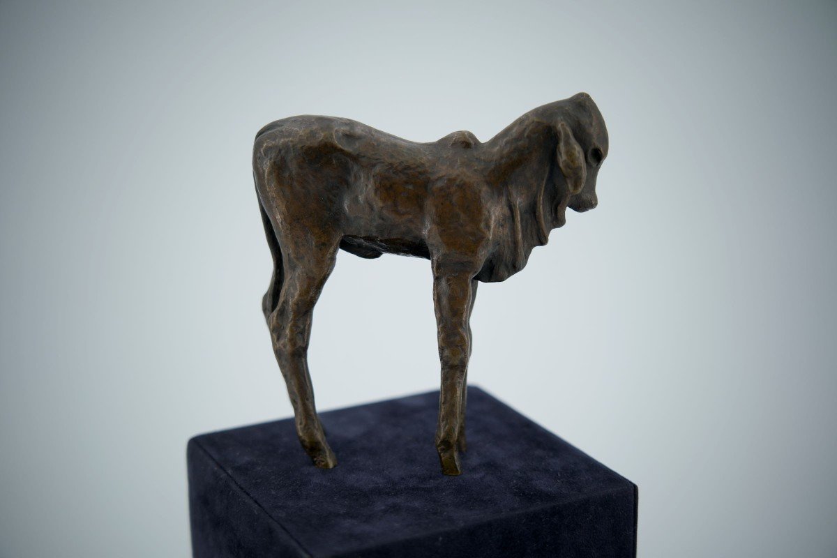 Renée Sintenis (1888 – 1965) Bronze “standing Zebu Calf”-photo-2