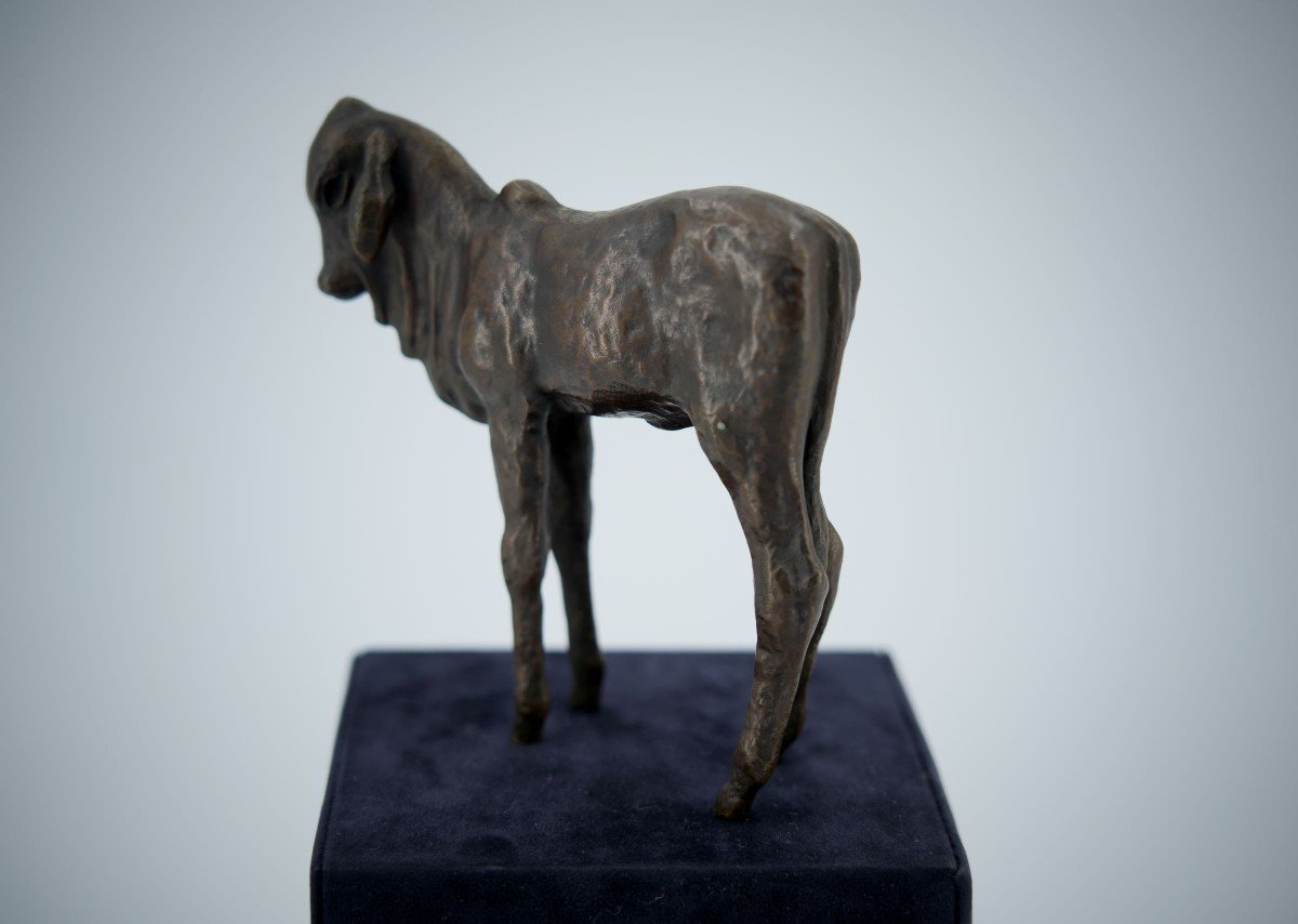 Renée Sintenis (1888 – 1965) Bronze “standing Zebu Calf”-photo-5