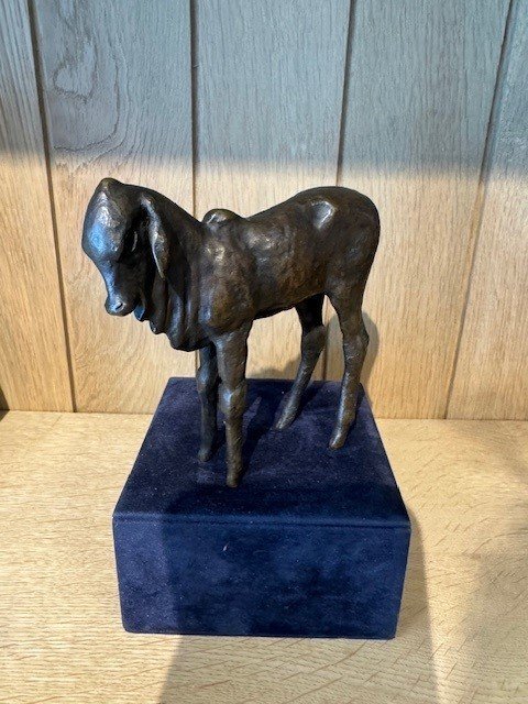 Renée Sintenis (1888 – 1965) Bronze “standing Zebu Calf”-photo-8