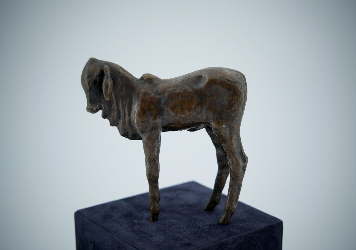 Renée Sintenis (1888 – 1965) Bronze “standing Zebu Calf”