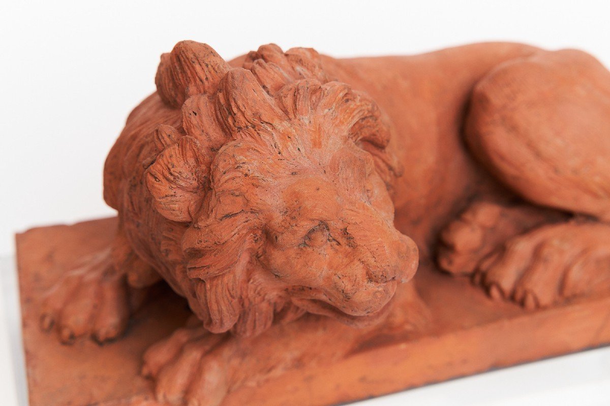 Pair Of Terracotta Lions, Italy 19th Century-photo-2