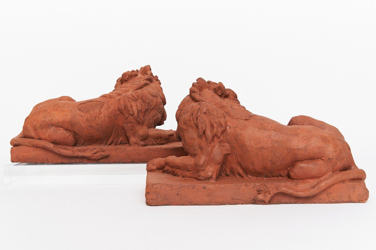 Pair Of Terracotta Lions, Italy 19th Century-photo-4