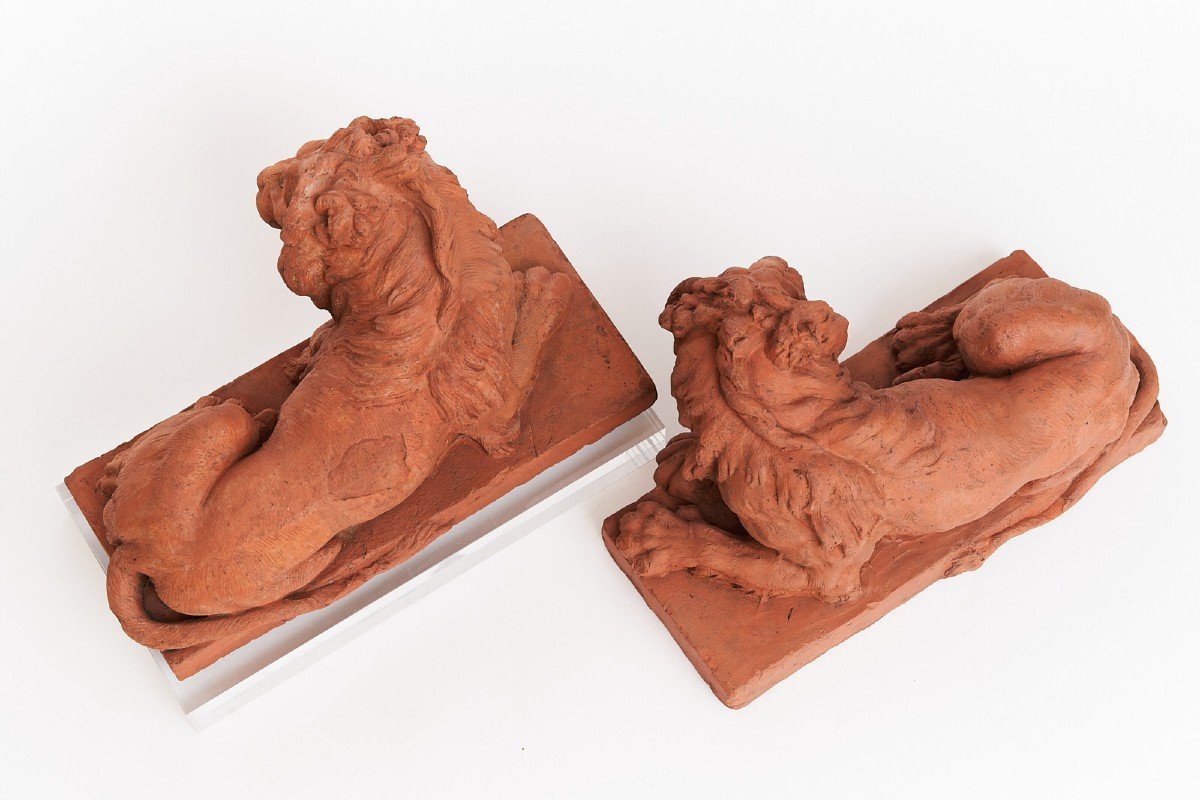 Pair Of Terracotta Lions, Italy 19th Century-photo-4