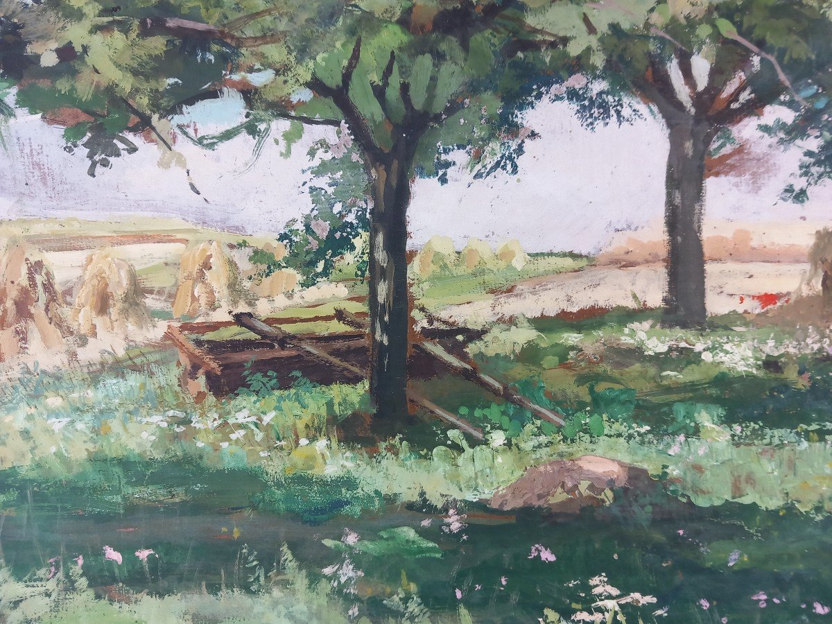 "apple Trees And Harvests In Nesles" Oil On Cardboard By Raymond Tournon 20th Century