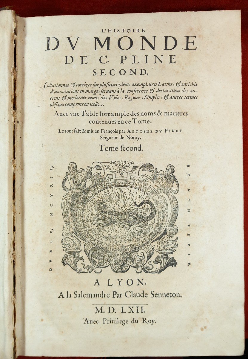 Pliny History Of The World In Lyon, At La Salemandre By Claude Senneton 1566 XVIth In-folio 