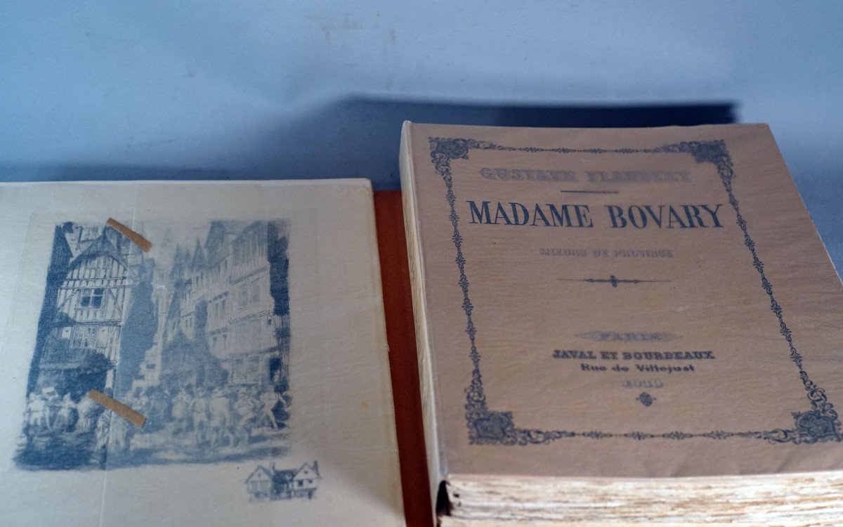 Gustave Flaubert Madame Bovary, Provincial Manners. Box Set