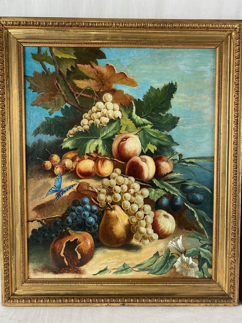 Pair Of Still Lifes With Flowers, Fruits, Butterflies And Birds, Framed Oils On Canvas-photo-2