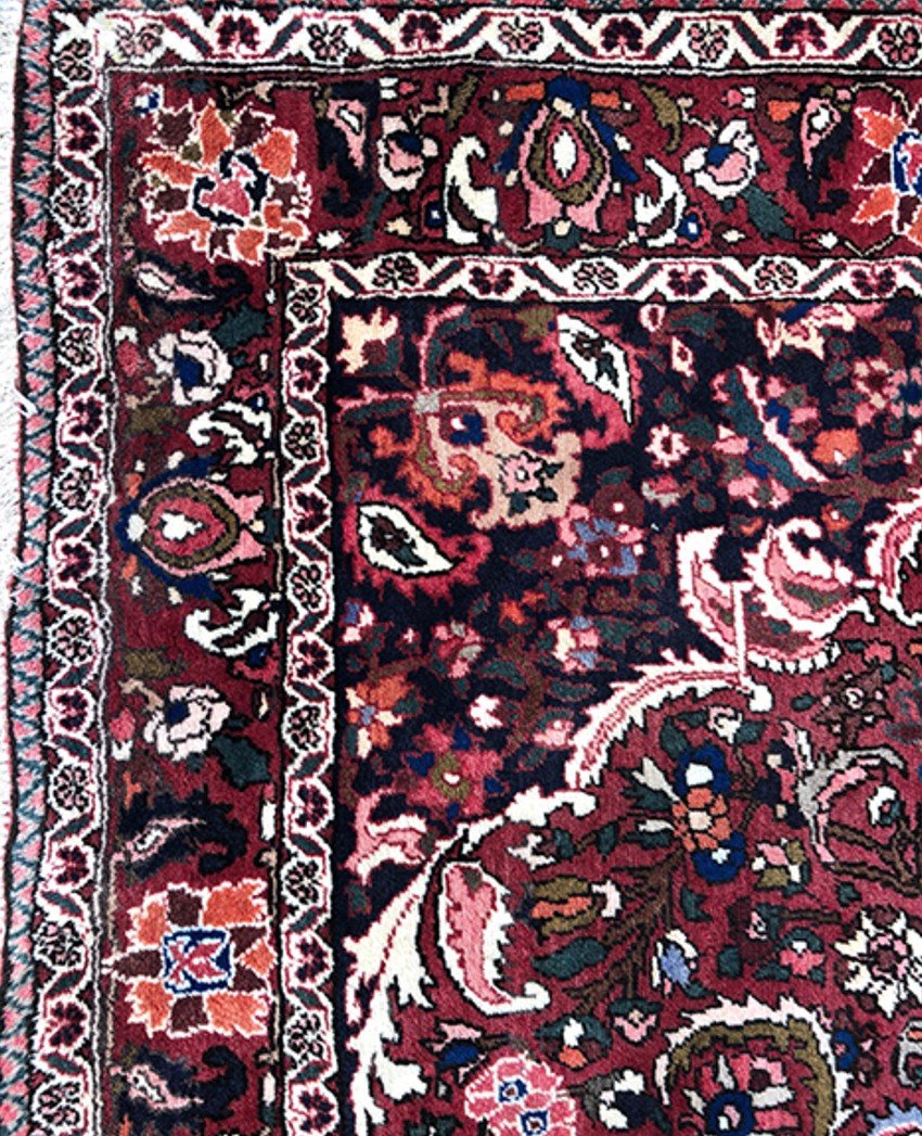 Bakhtiar Hand-knotted Wool Rug With Floral Decor-photo-4