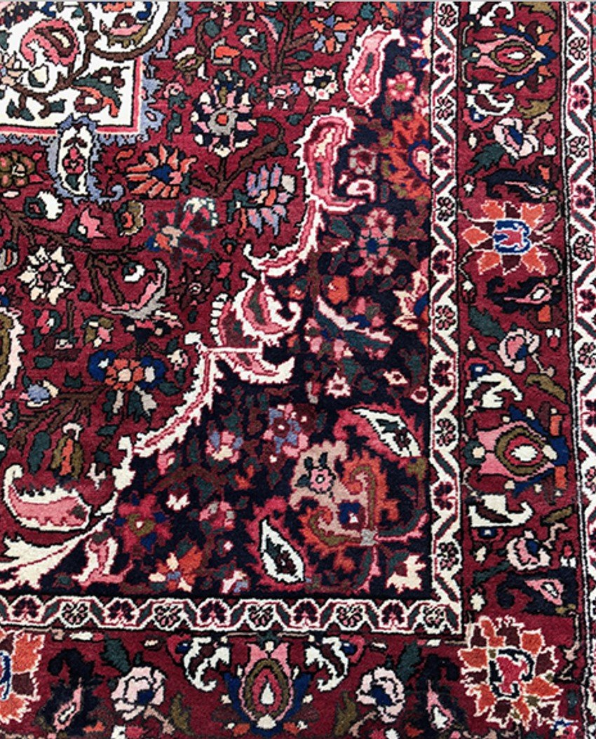 Bakhtiar Hand-knotted Wool Rug With Floral Decor-photo-1