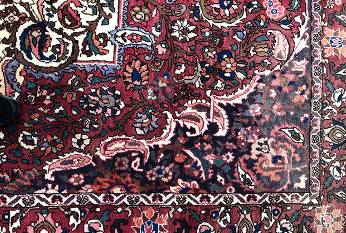 Bakhtiar Hand-knotted Wool Rug With Floral Decor-photo-3