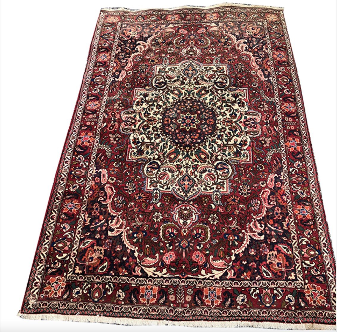 Bakhtiar Hand-knotted Wool Rug With Floral Decor