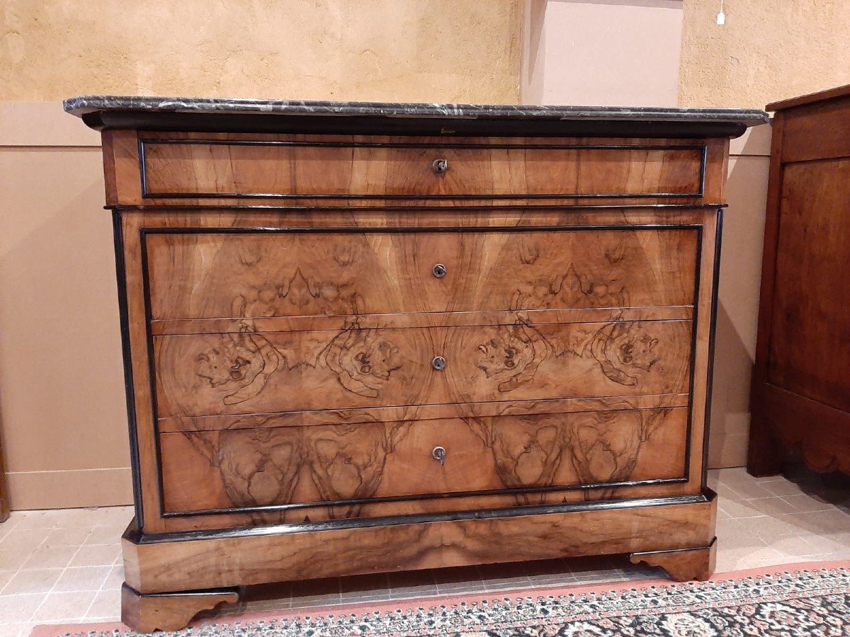 Commode  Louis Philippe En Ronce De Noyer - XIXème Siècle-photo-2