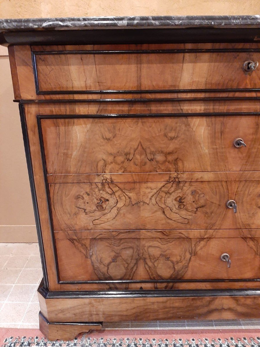 Commode  Louis Philippe En Ronce De Noyer - XIXème Siècle-photo-6