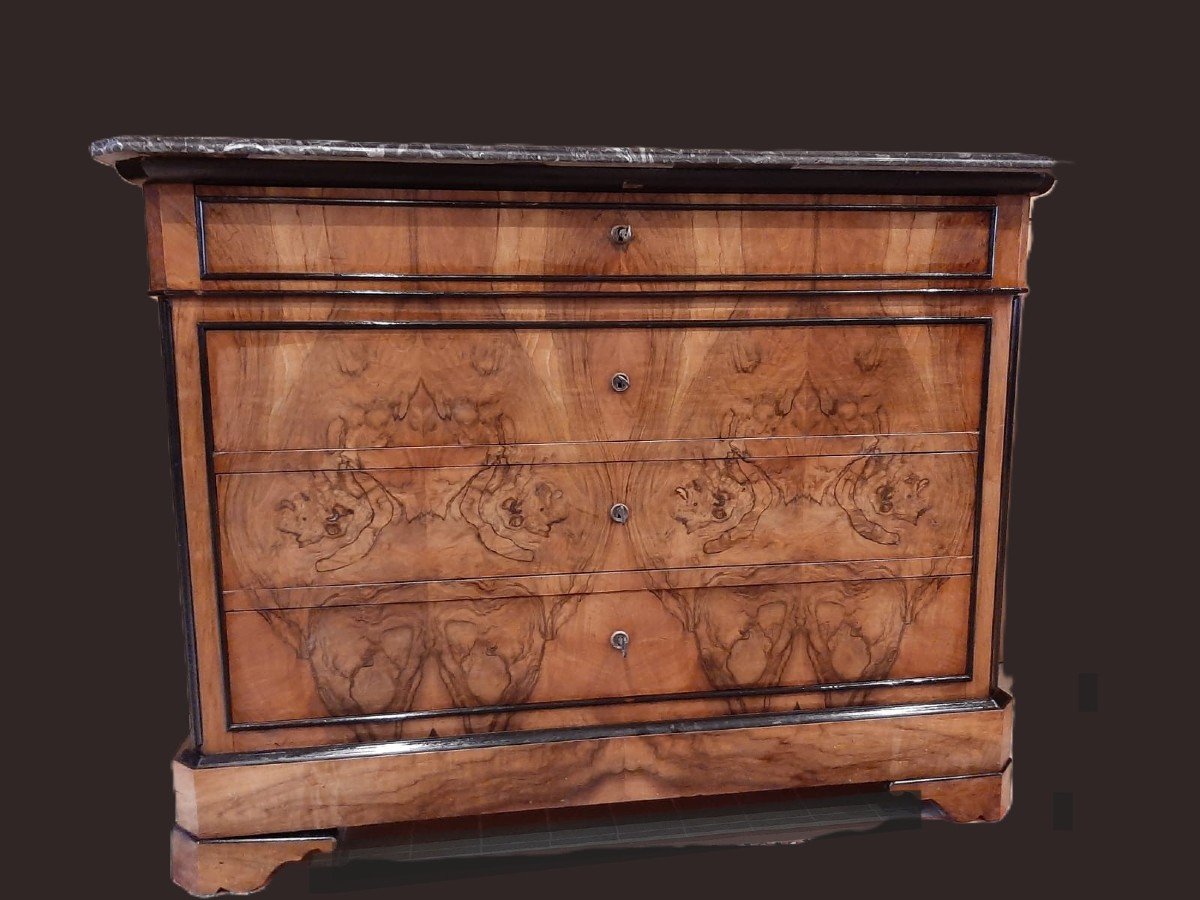 Commode  Louis Philippe En Ronce De Noyer - XIXème Siècle