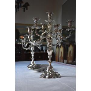 Candelabra In Silver Bronze