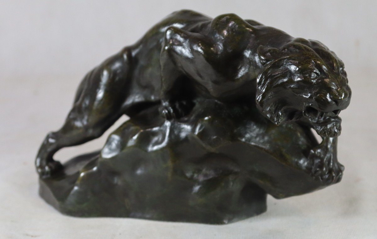 Giacomo Merculiano (1859-1935), Bronze Sculpture "the Lioness", Circa 1900-photo-2