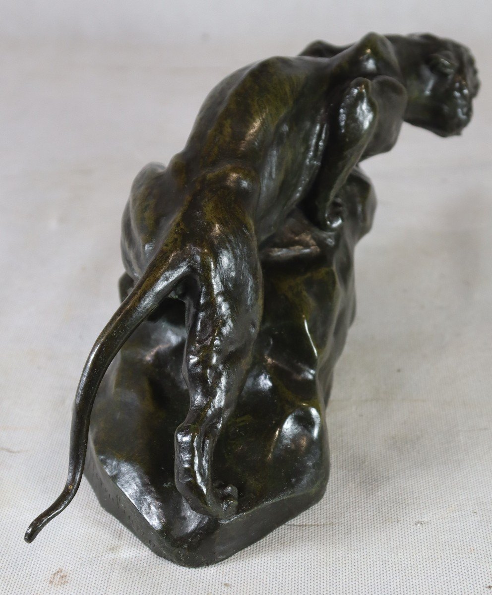 Giacomo Merculiano (1859-1935), Bronze Sculpture "the Lioness", Circa 1900-photo-3