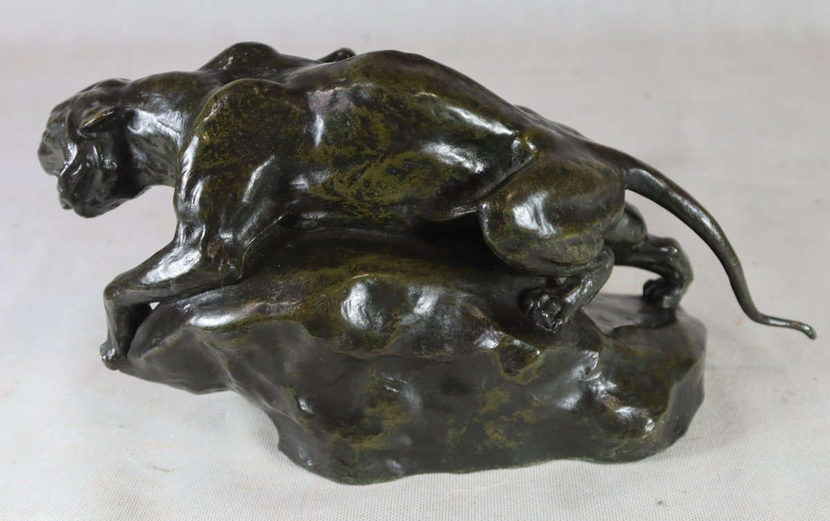 Giacomo Merculiano (1859-1935), Bronze Sculpture "the Lioness", Circa 1900-photo-4