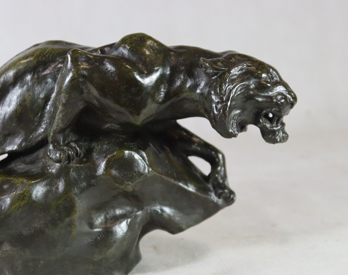 Giacomo Merculiano (1859-1935), Bronze Sculpture "the Lioness", Circa 1900-photo-4