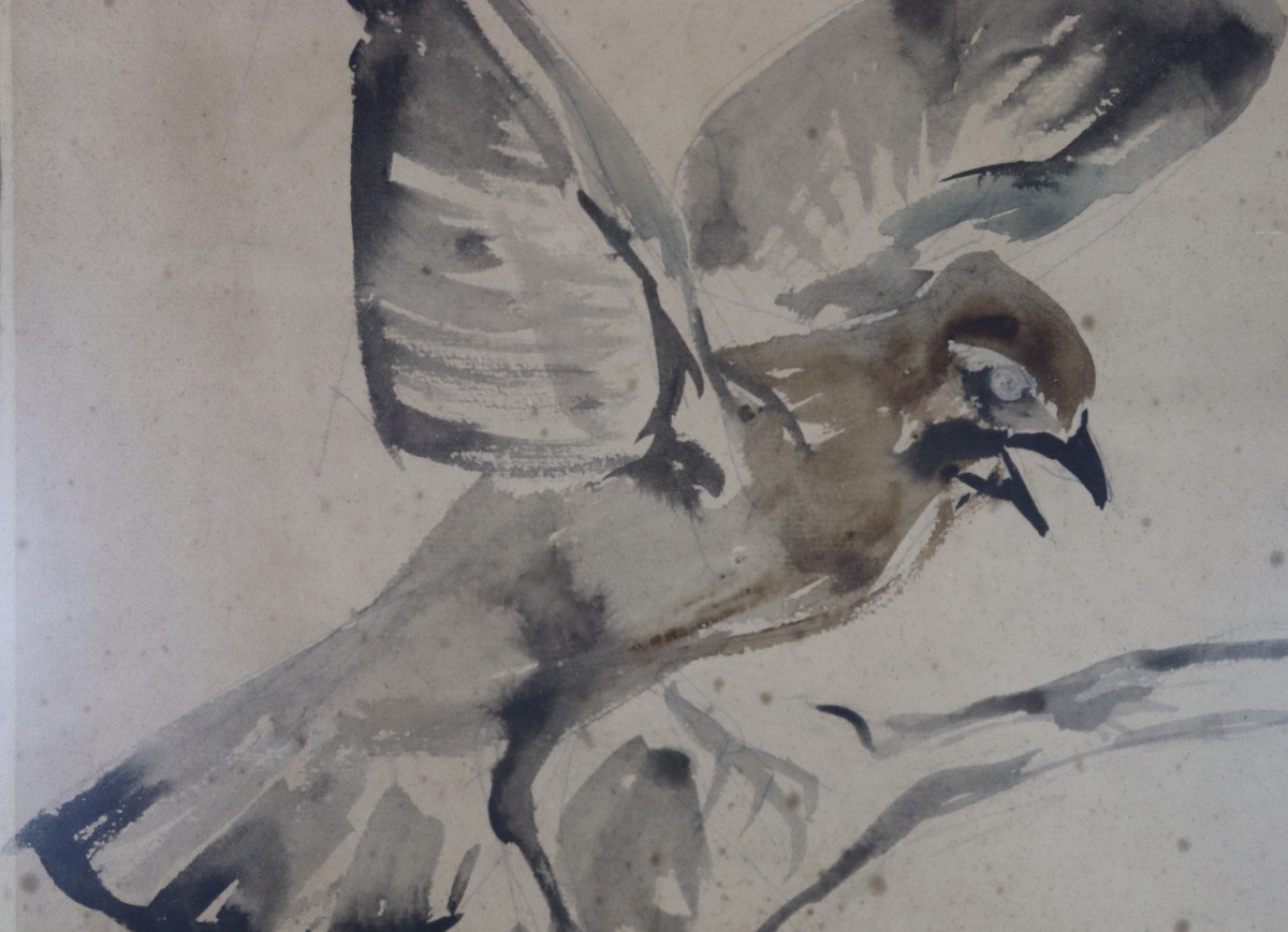 Raymond Bigot (1872-1953), Watercolor "le Jay", Signed, 20th-photo-1