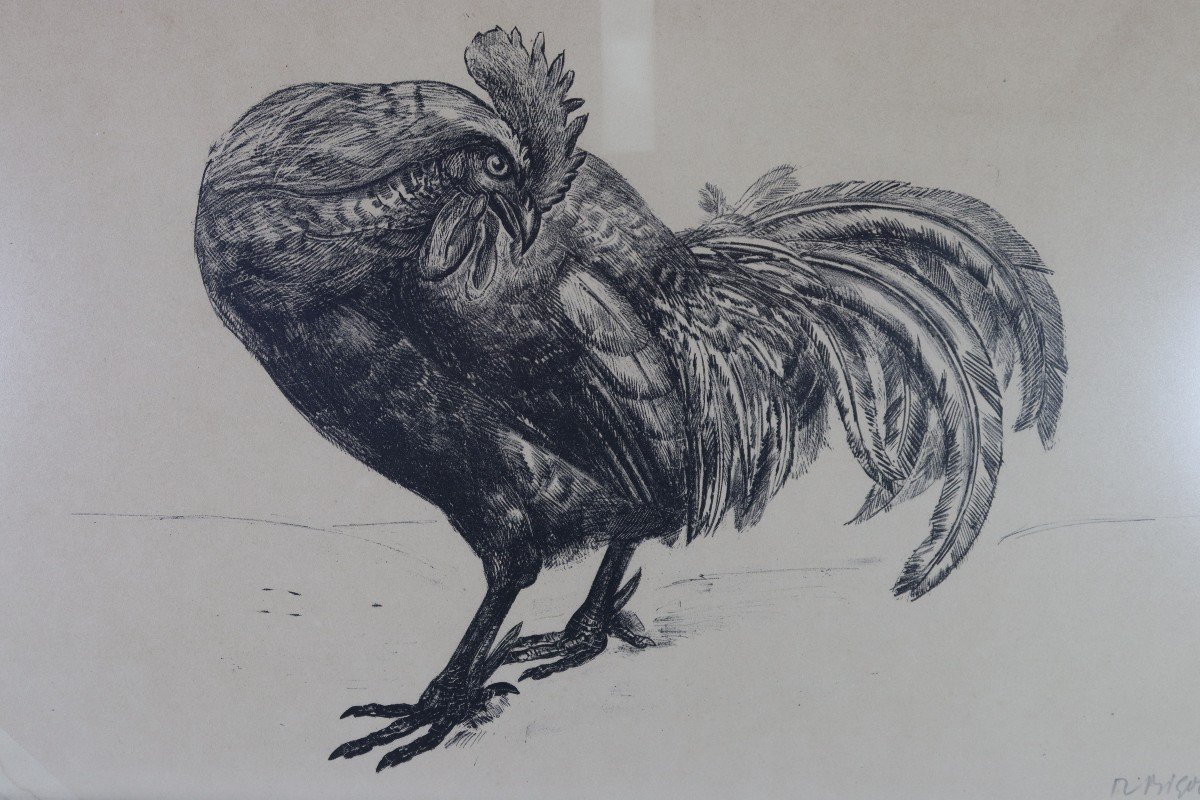 Raymond Bigot (1872-1953), Gravure " Le Coq ", Signé, XXe-photo-4