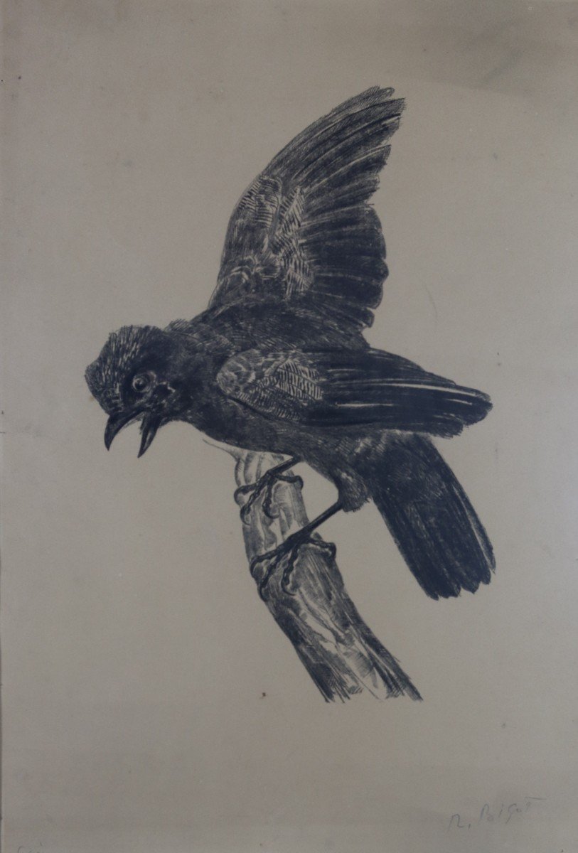 Raymond Bigot (1872-1953), Engraving “le Jay”, Signed, 20th-photo-2