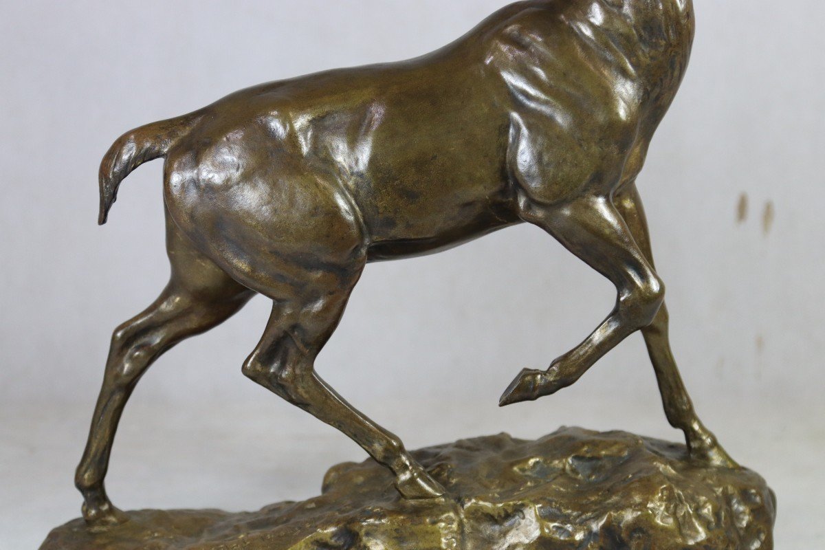 Louis Vidal (1831-1892), Bronze Sculpture "deer", 19th Century-photo-3