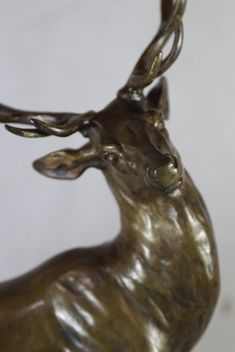 Louis Vidal (1831-1892), Bronze Sculpture "deer", 19th Century-photo-1