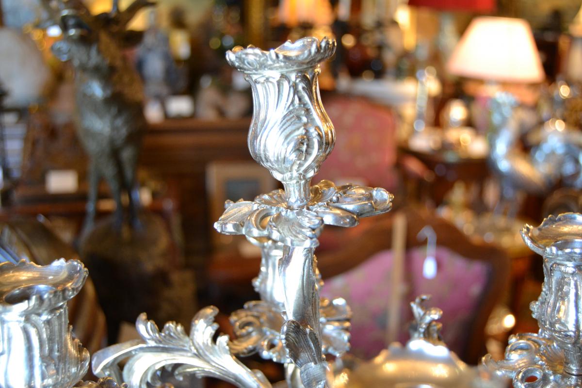 Pair Of Candelabra Bronze Silver, Louis XV Style, Nineteenth-photo-1