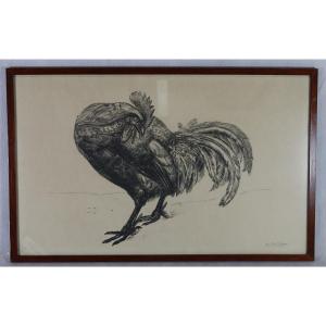 Raymond Bigot (1872-1953), Engraving “le Coq”, Signed, 20th