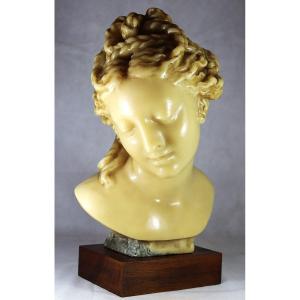 Wax Sculpture "aphrodite, Bust After Antiquity" Signed R. Peyranne, 20th Century