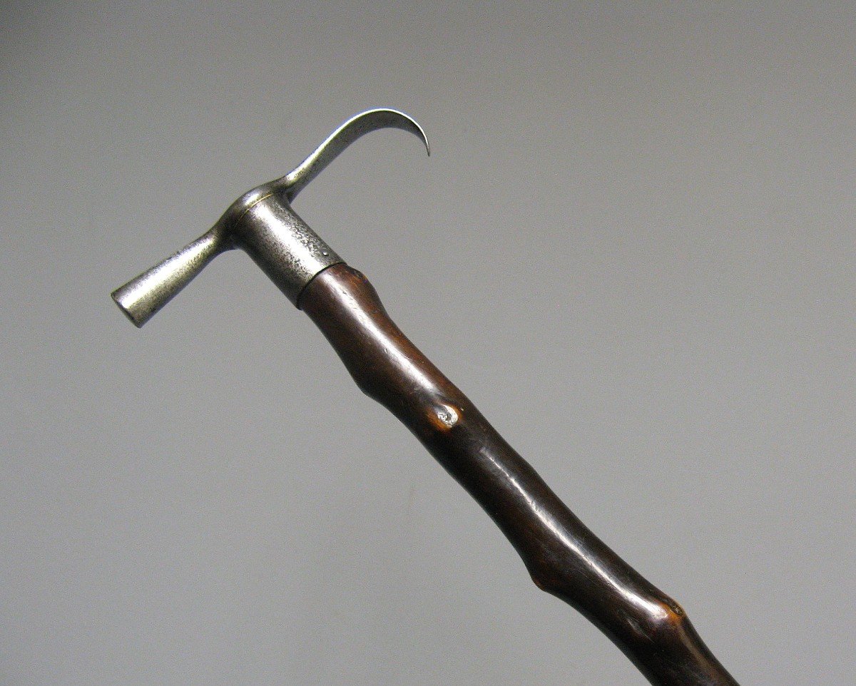 Dard Cane, 19th Century System Cane.-photo-2