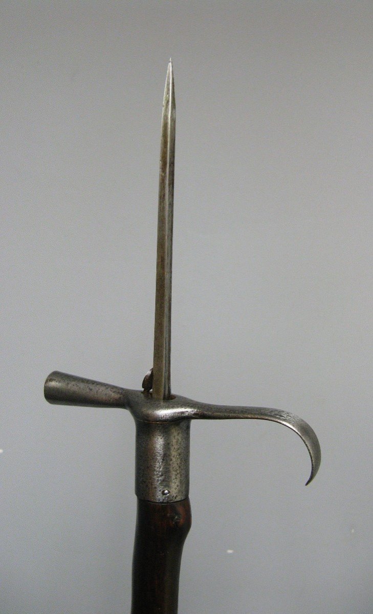 Dard Cane, 19th Century System Cane.-photo-4