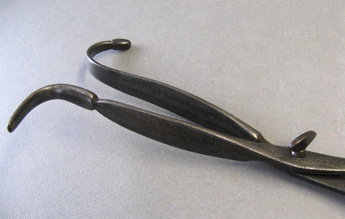 Nineteenth Pajot Obstetric Forceps.-photo-3