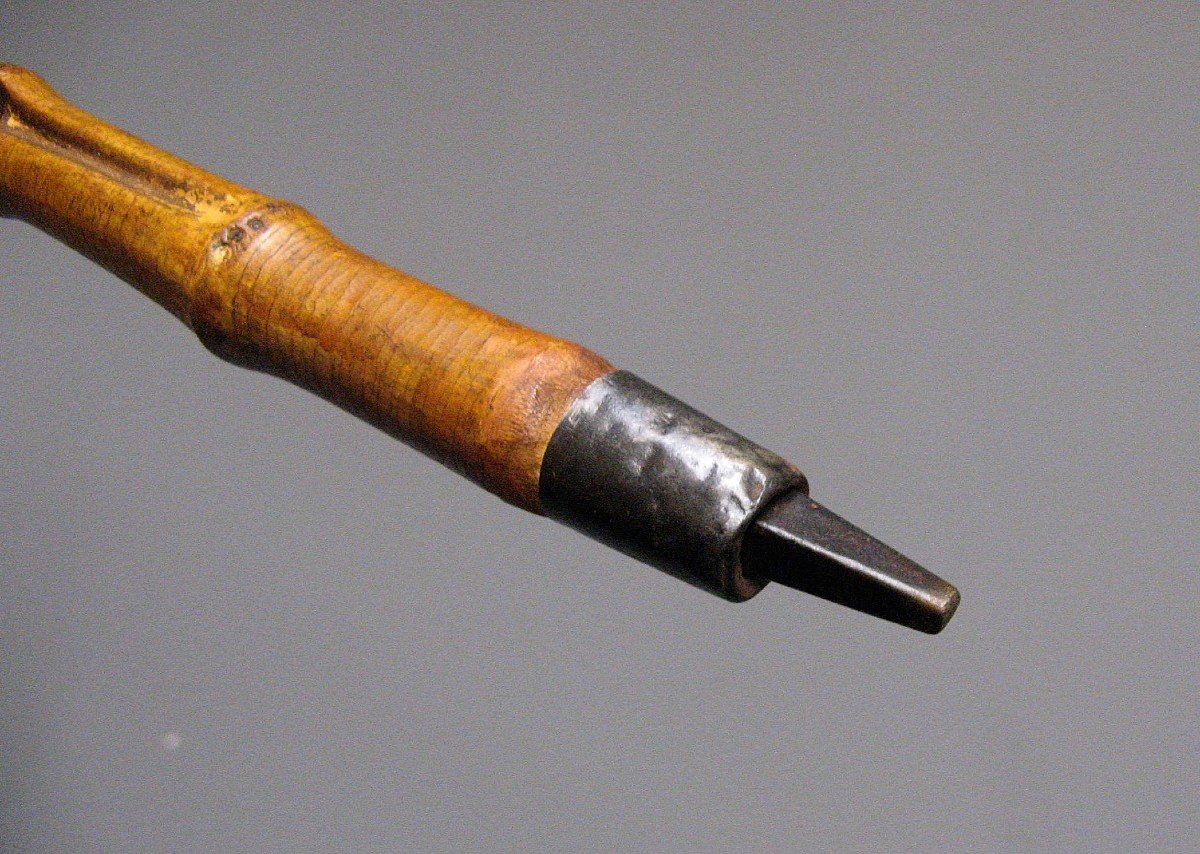 19th Century Dog's Head Cane.-photo-4