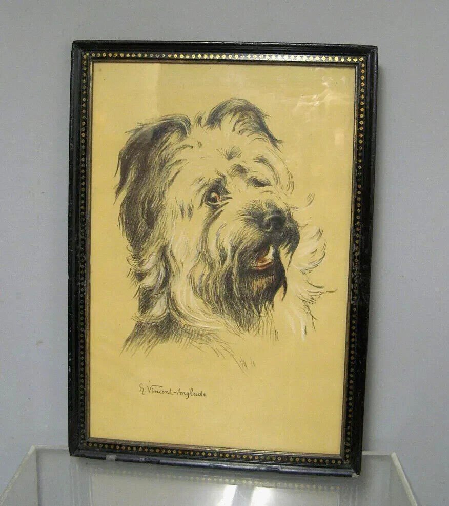 Animal Drawing By Vincent Anglade.-photo-3