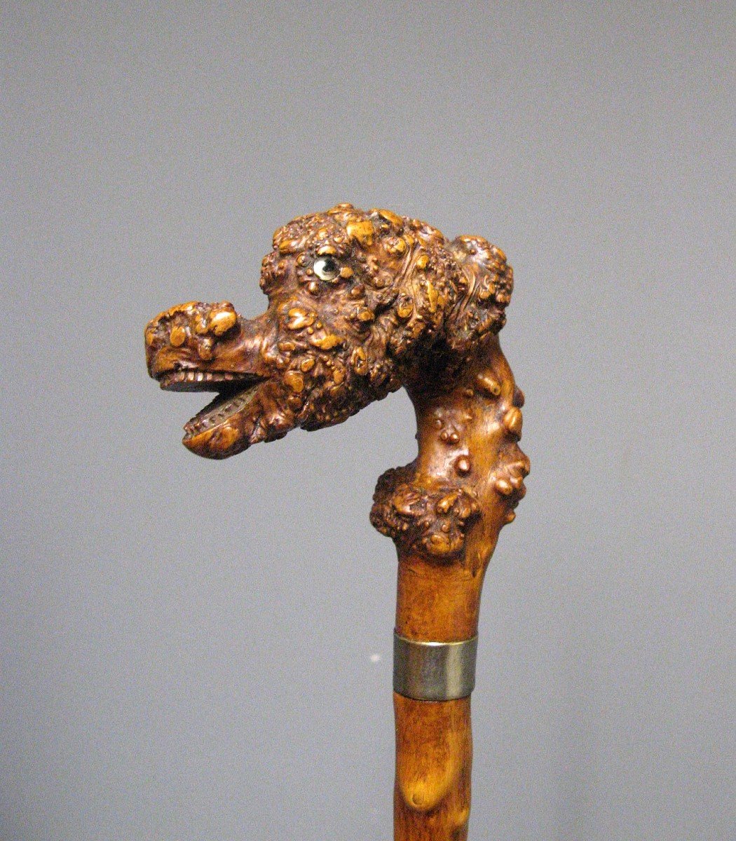 Carved Root Cane. Folk Art Cane With Monster Head.