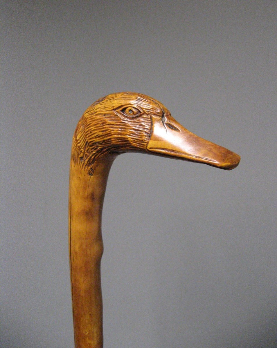 Monoxyl Cane In Boxwood Carved With A Duck's Head. 19th Century Popular Art. Hunting.-photo-3