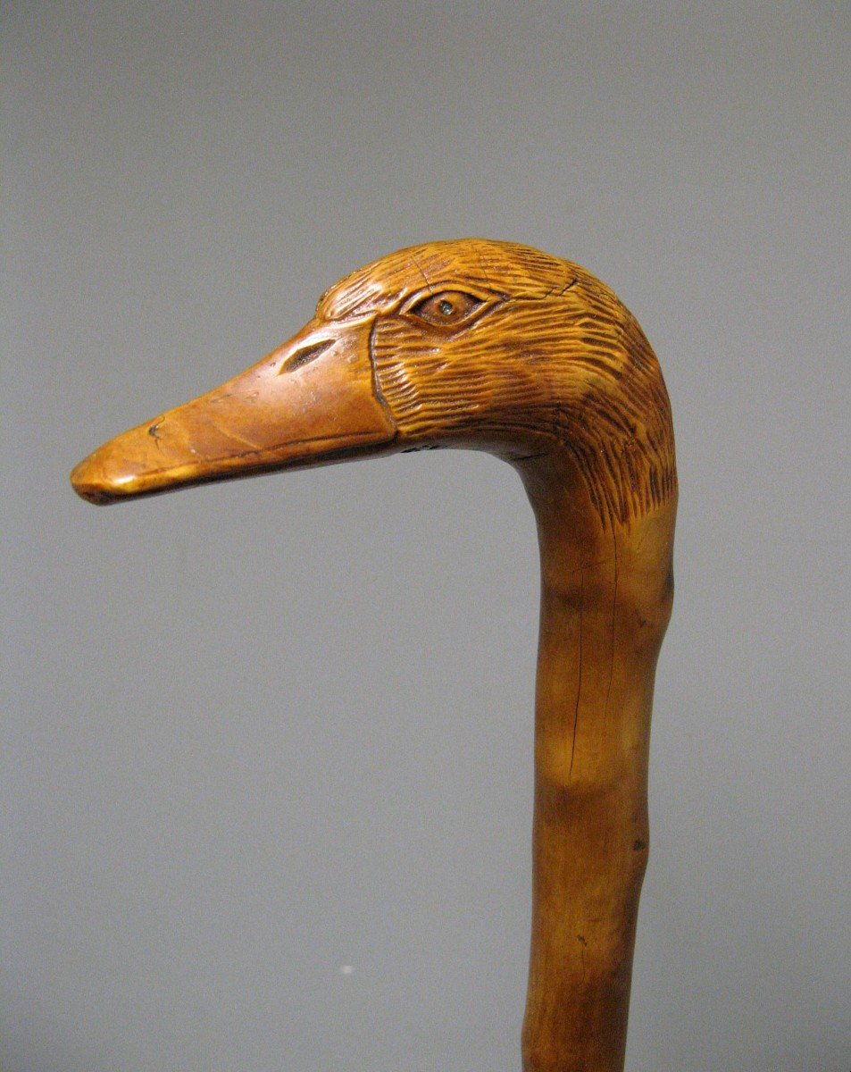 Monoxyl Cane In Boxwood Carved With A Duck's Head. 19th Century Popular Art. Hunting.