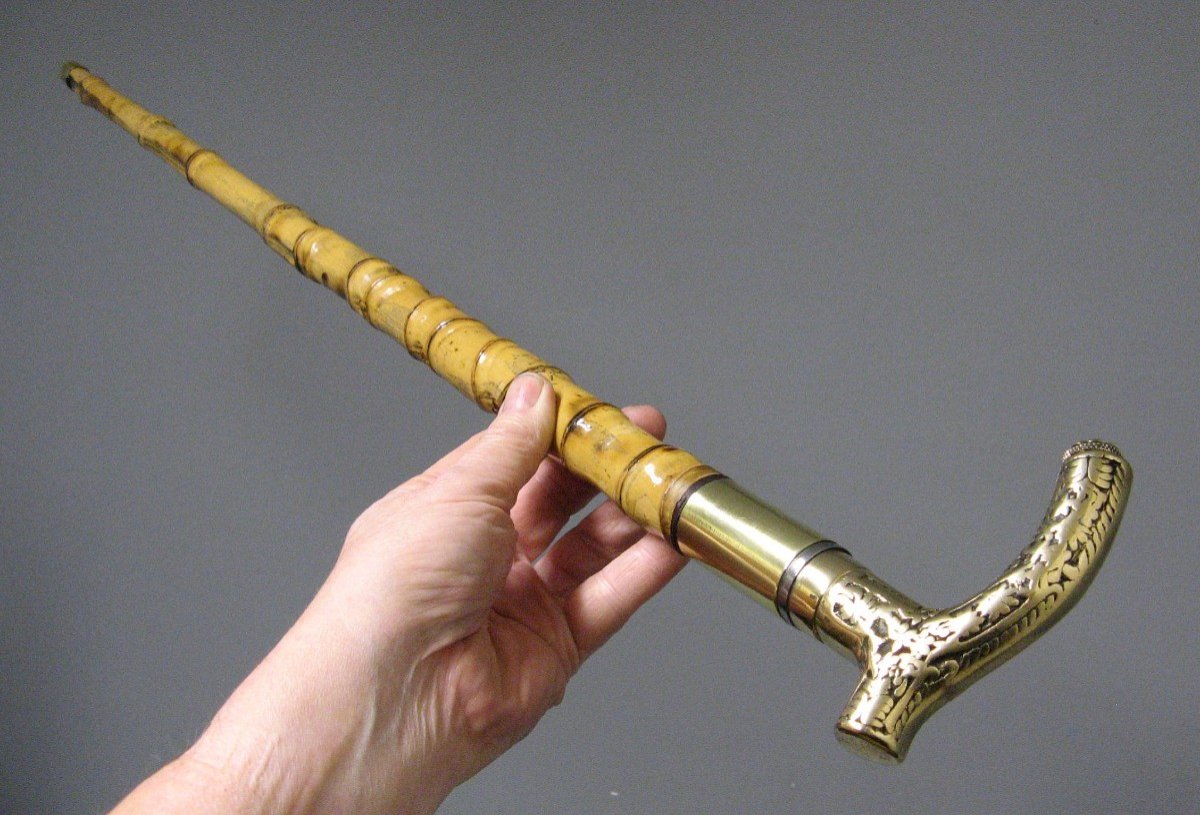 Cane With Defense System.-photo-1