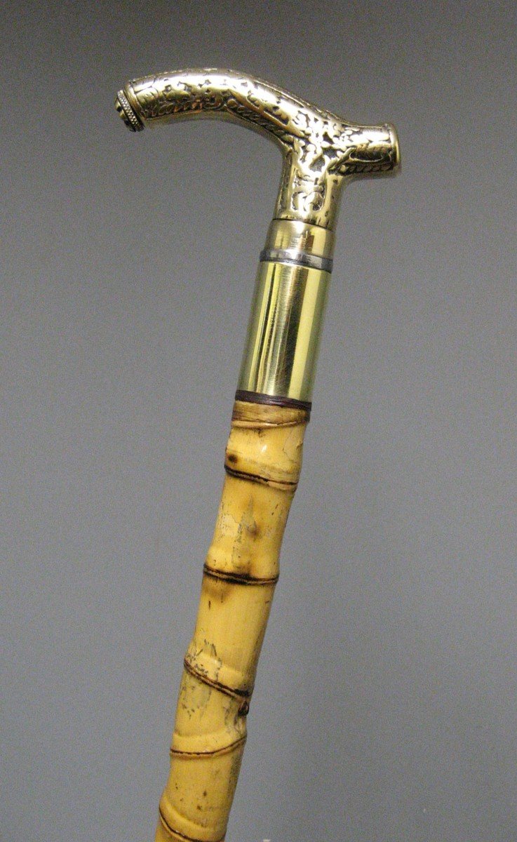 Cane With Defense System.