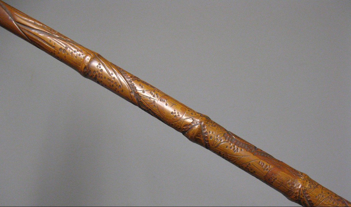 Carved Bamboo Cane. Japan Circa 1900. -photo-3