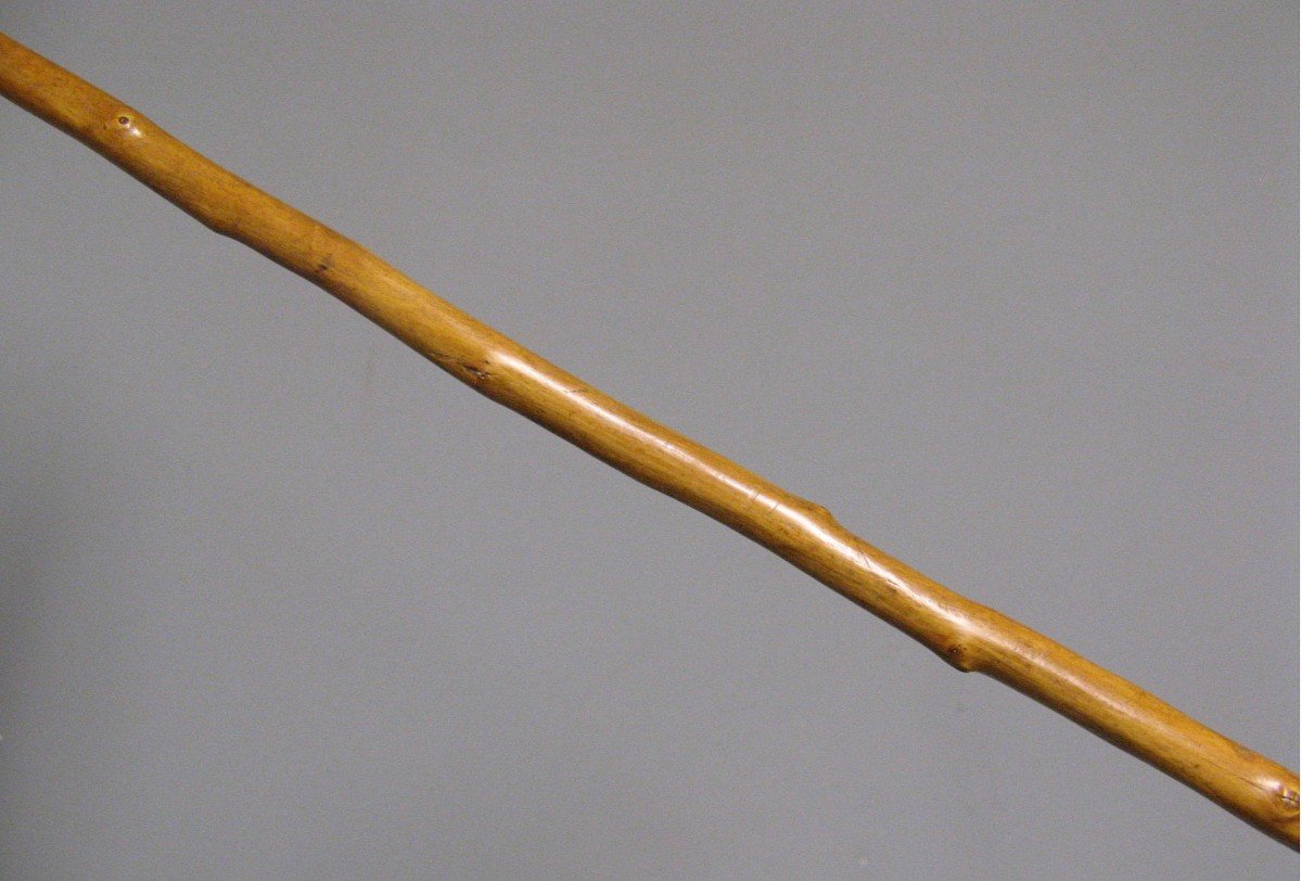 Child's Cane With Eagle Head, 19th Century. Napoleon III.-photo-3