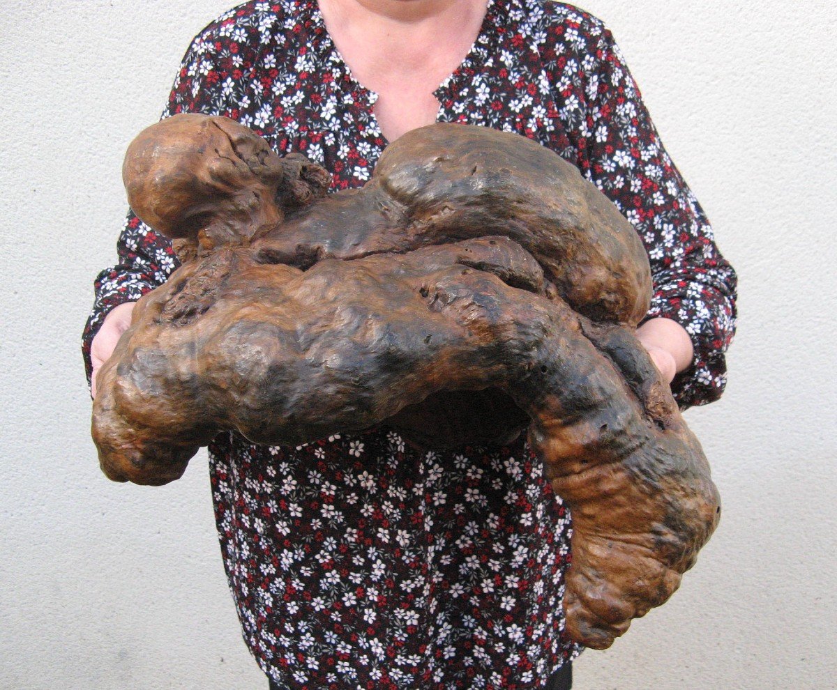 Large Hand Carved Burl Wood Bowl.-photo-4