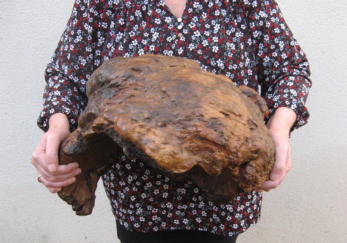 Large Hand Carved Burl Wood Bowl.-photo-1