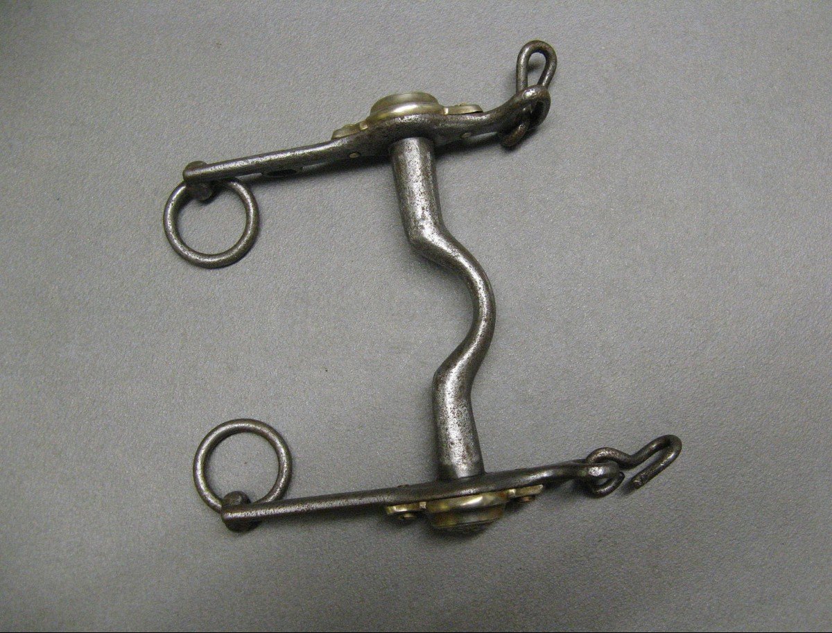 General's Bridle Bit, Model 1845, Second Republic.-photo-4