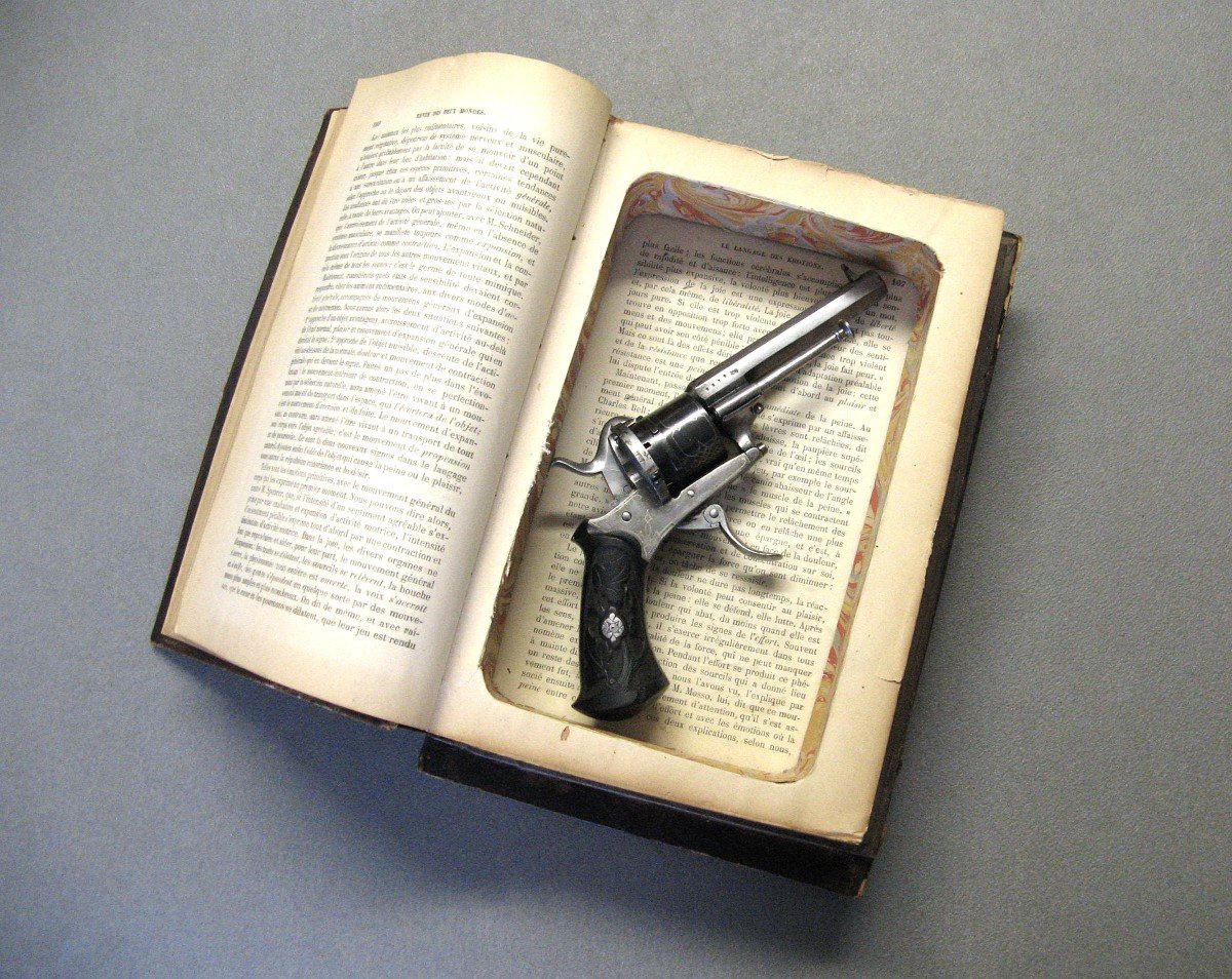 Secret Book With Lefaucheux Type Pinfire Revolver, 19th Century.-photo-6