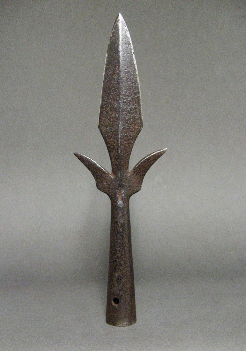 17th Century Polearm Iron.-photo-2